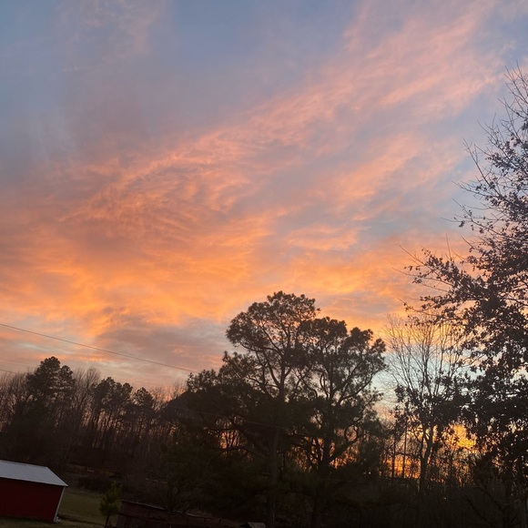 Meet your Posher, Bayleigh - Picture 1 of 1